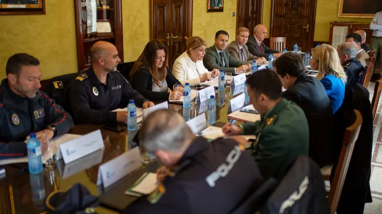 Junta Local Seguridad