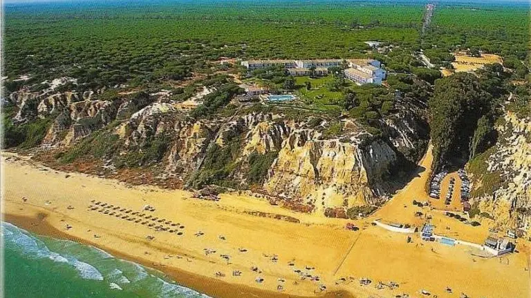 Extenso pinar tras la playa del Parador de Mazag&oacute;n