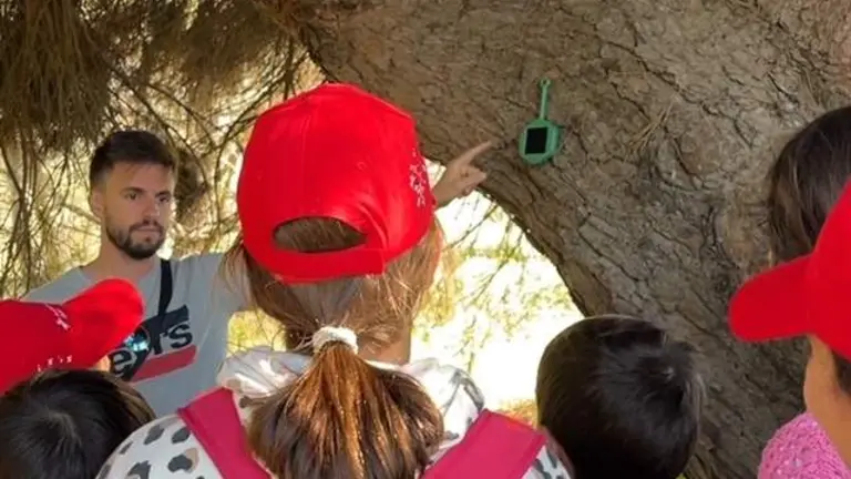 Detector en la zona para prevenir incendios