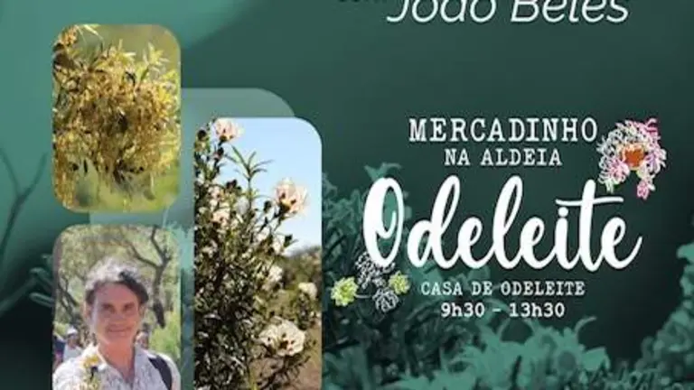 Passeio de plantas medicinais