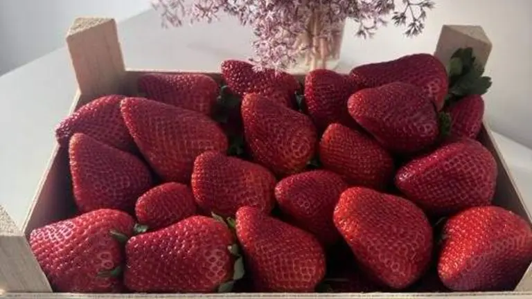 Caja de fresas de producci&oacute;n onubense