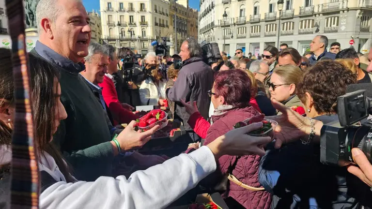Reparto de fresas en la Puerta del Sol este martes por iniciativa de UPA-Huelva
