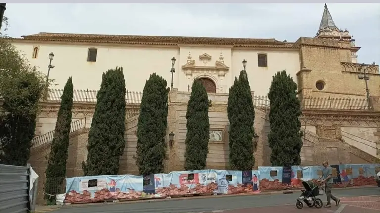 Los 6 cipreses que cuestiona la Junta