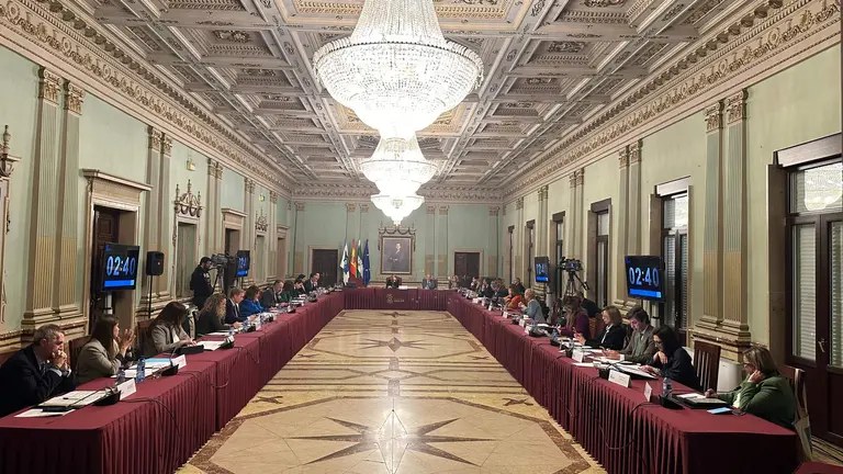 Foto Pleno Ayuntamiento de Huelva