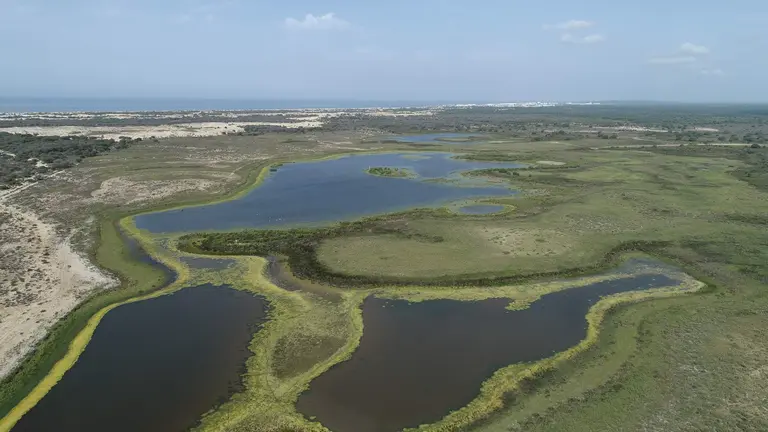 Una de las grandes lagunas de Doñana