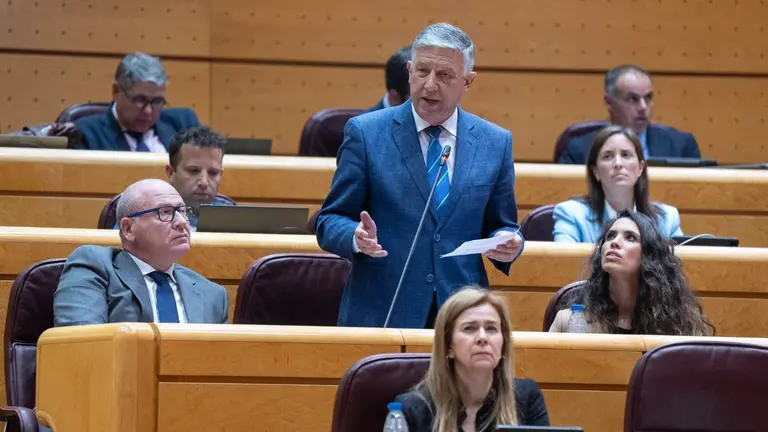 Carmelo Romero, en el Senado