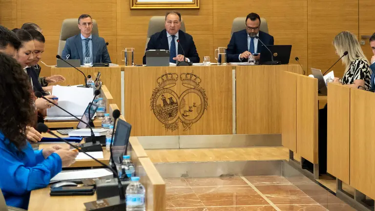 Presidencia del Pleno