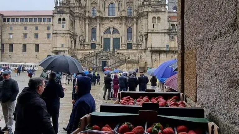 Fresas de Huelva en la Plaza del Obradoiro, su última cita
