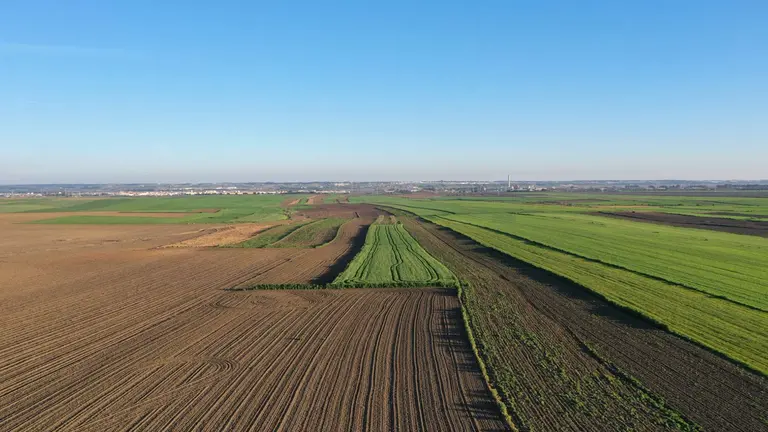 Terrenos agr&iacute;colas que ocupar&aacute; la planta que se anuncia en San Juan