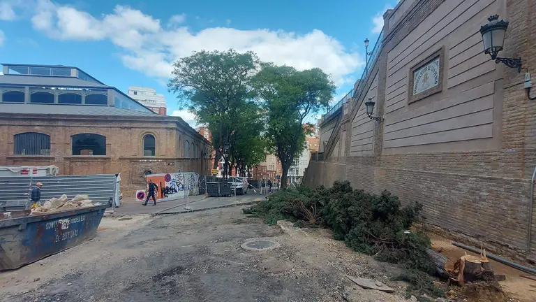 Los siete cipreses talados, a los pies del muro de San Pedro