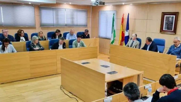 Sesión plenaria presidida por David Toscano