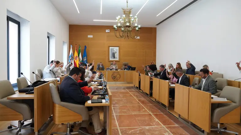 Pleno de la Diputaci&oacute;n