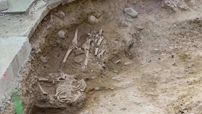 Uno de los esqueletos que ha sorprendido a los operarios