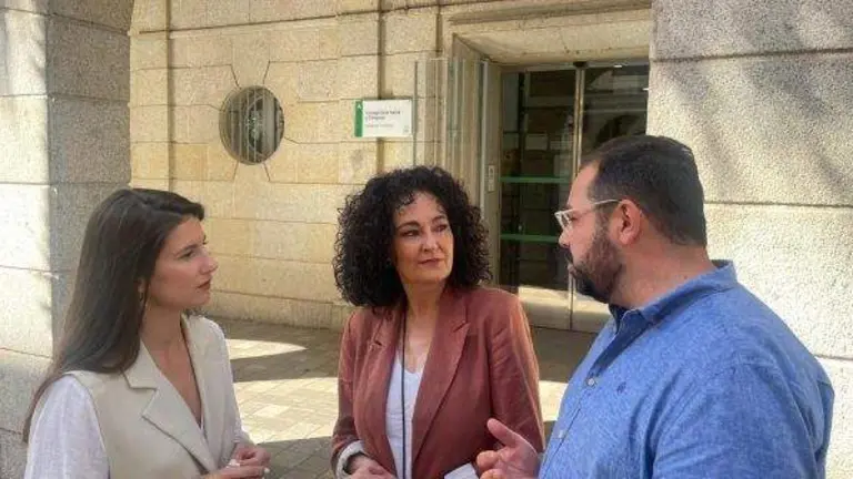 Lourdes-Martin, portavoz de Sanidad del PSOE