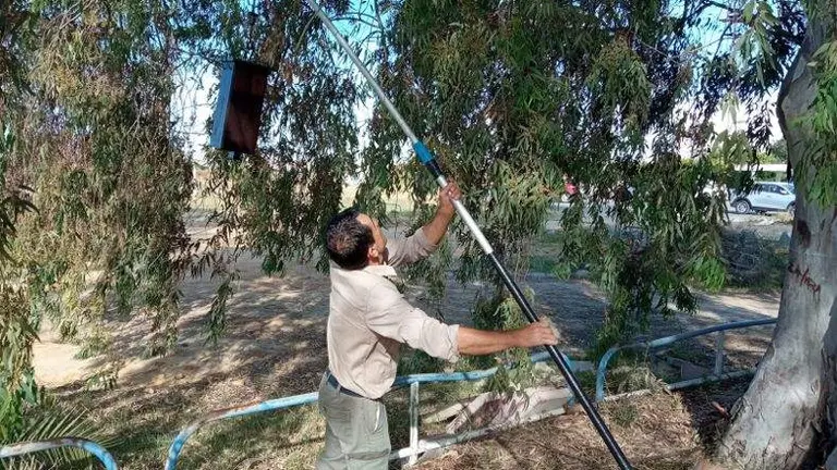 Trabajos de control de mosquitos