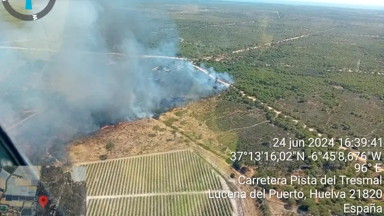 Toma a&eacute;rea del fuego en el Arroyo Don Gil de Lucena (Foto: Infoca)