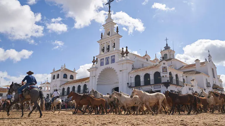 Las yeguas a su paso por el Santuario