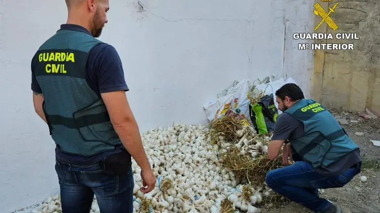 Agentes con los ajos incautados