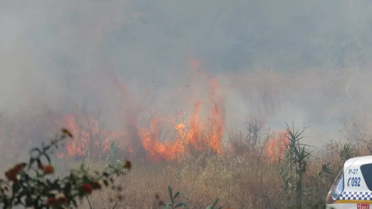 Un veh&iacute;culo policial junto al incendio del Parque Moret