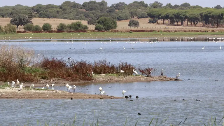Zona de cr&iacute;a de aves