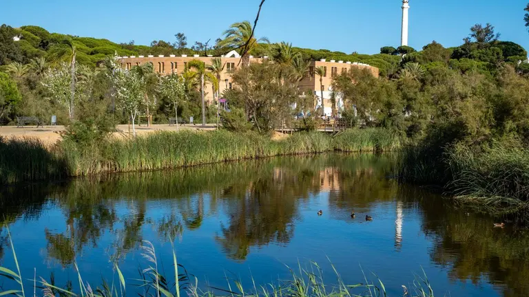Laguna de La R&aacute;bida