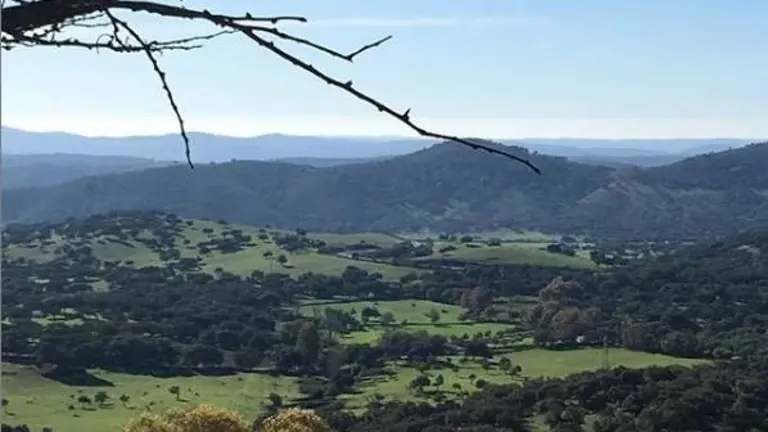 Paisaje de dehesa