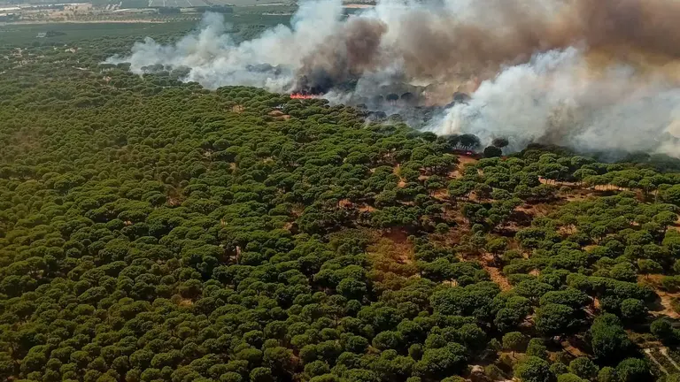 Zona afectada por el fuego