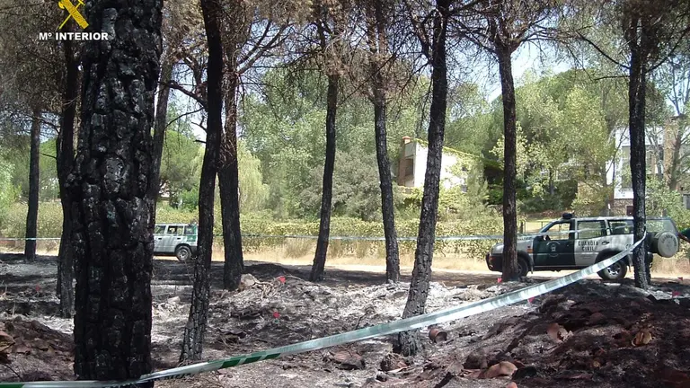 Zona afectada por las llamas