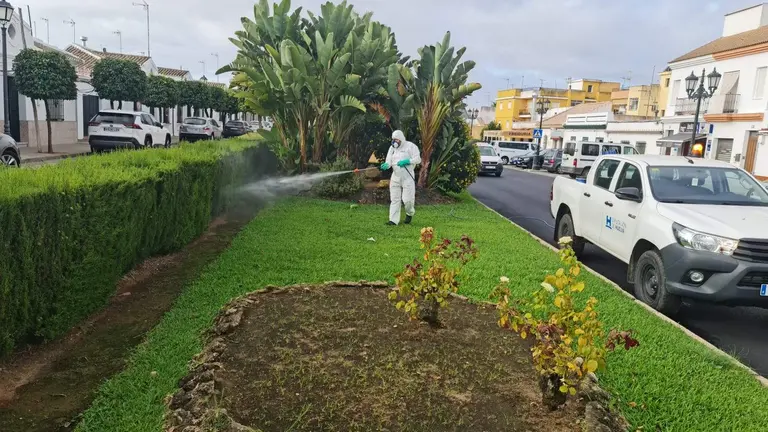 Fumigaciones en Huelva