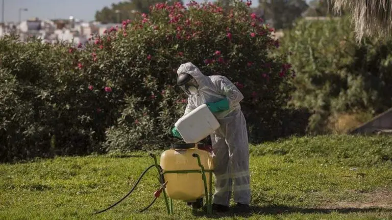 Fumigaciones en Huelva