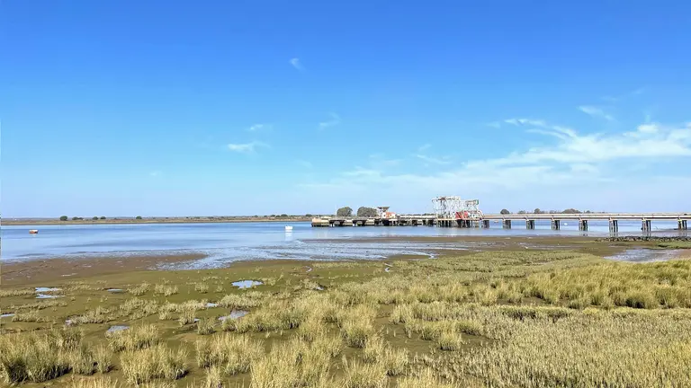 Foto Studio Spartina