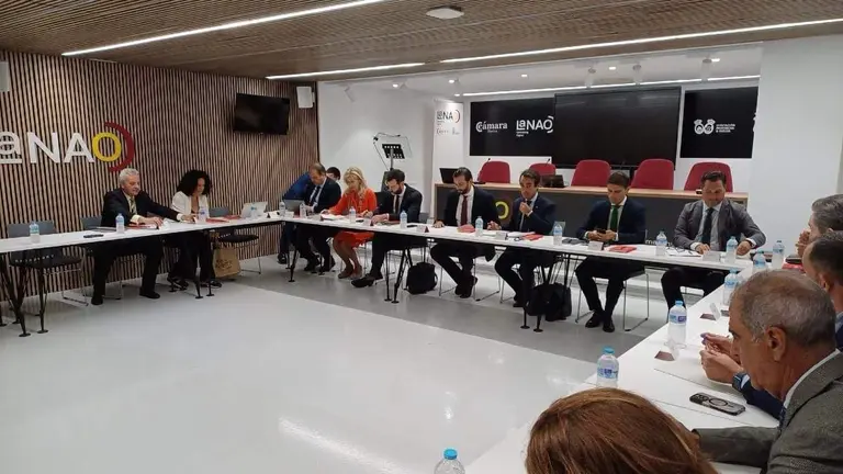 Imagen de la reunión del Consejo Asesor del Aeropuerto 'Cristóbal Colón'