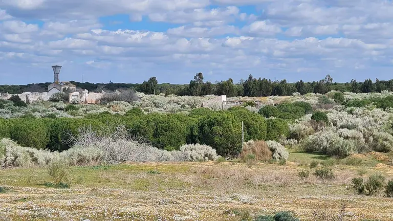 Zona que ocupar&aacute; el proyecto de El Rompido Este, de Loiola