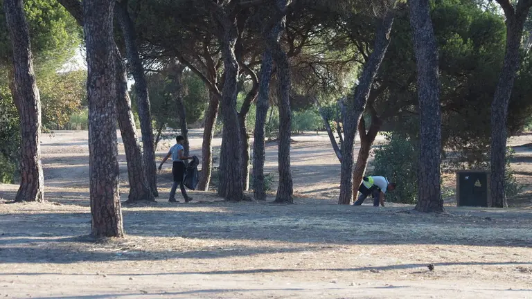 Operario municipales trabajando en La R&aacute;bida