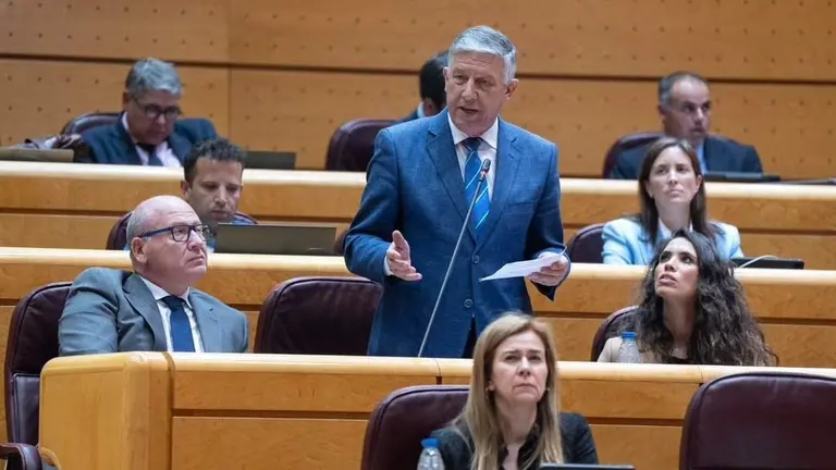 Carmelo Romero, en el Senado