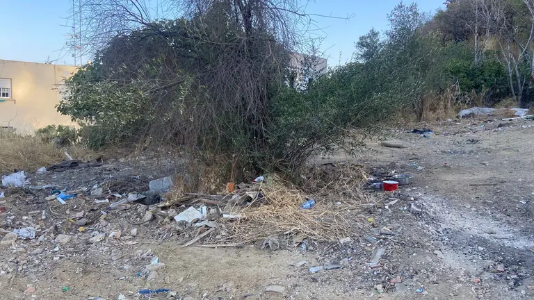 Detalle de abandono en las laderas del Conquero