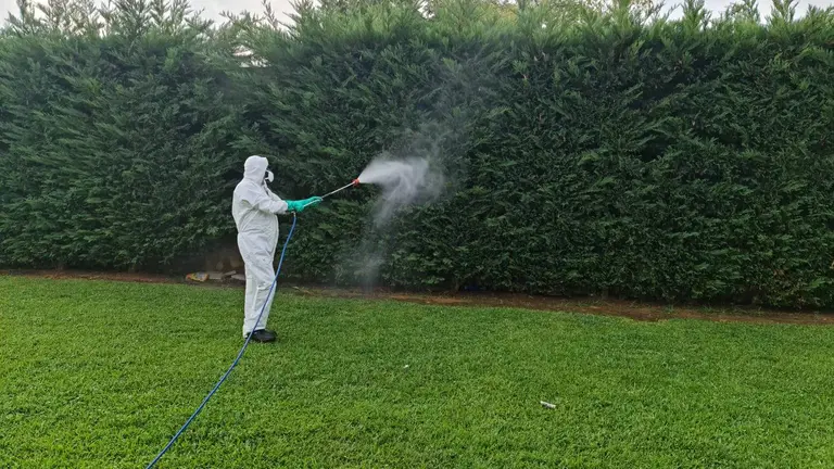 Fumigaci&oacute;n en un &aacute;rea afectada