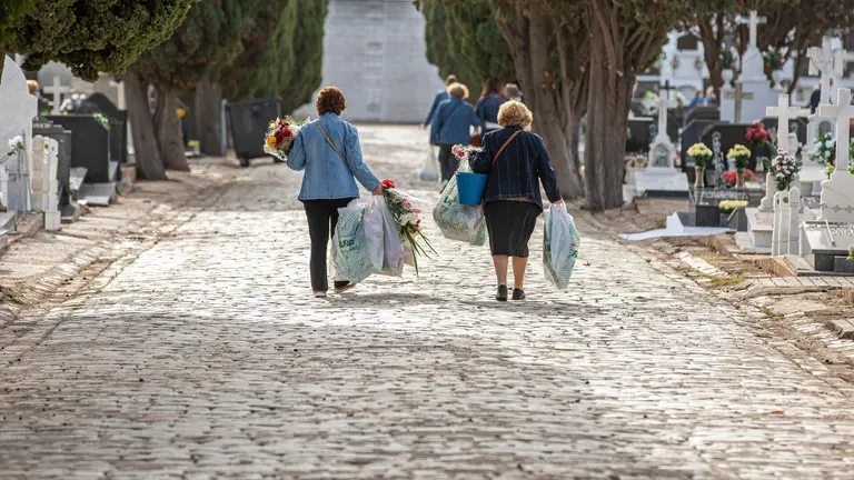 Cementerio La Soledad