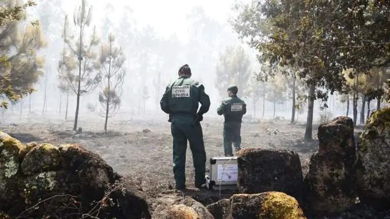 Efectivos de la Guardia Civil investigan un incendio en el Condado este verano