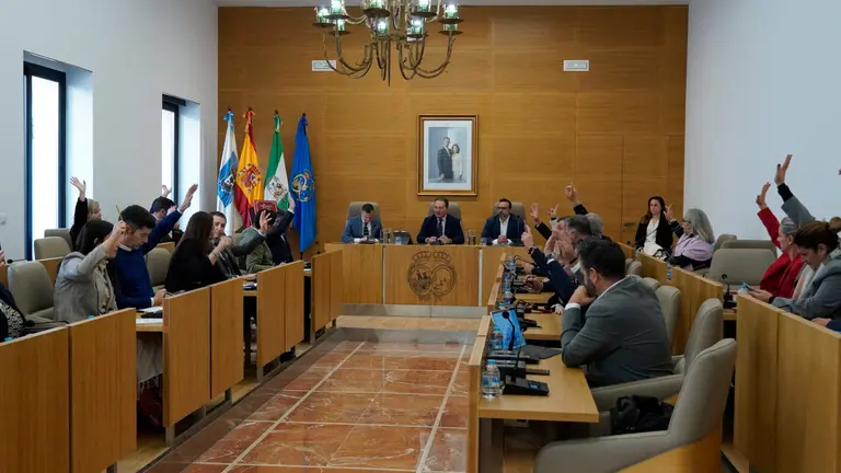 Pleno Medallas de la Provincia