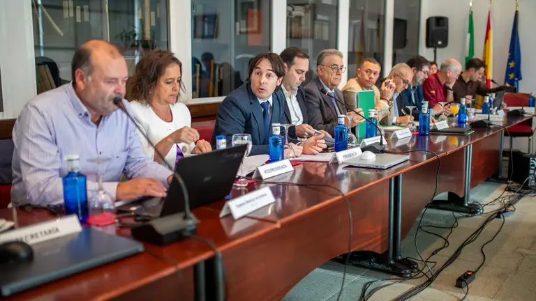 Consejo de Participación