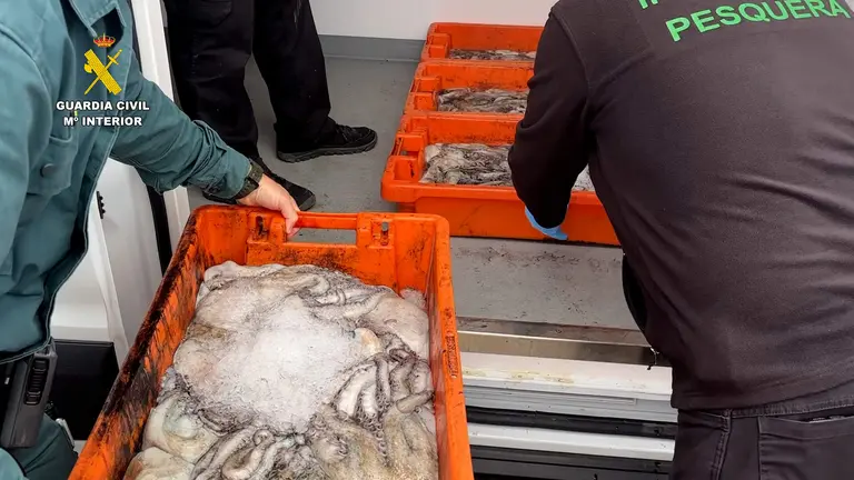 Intervención del cargamento de pulpo y almeja