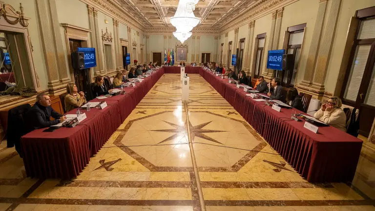 Los pol&iacute;ticos durante el Pleno Municipal de hoy.