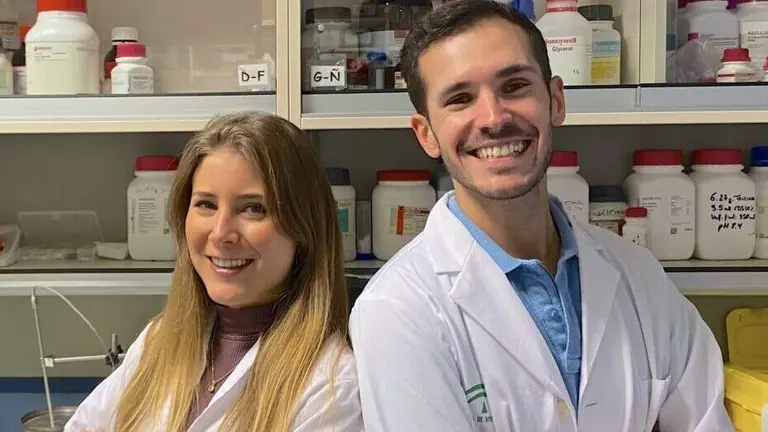 image-980x815 - copia