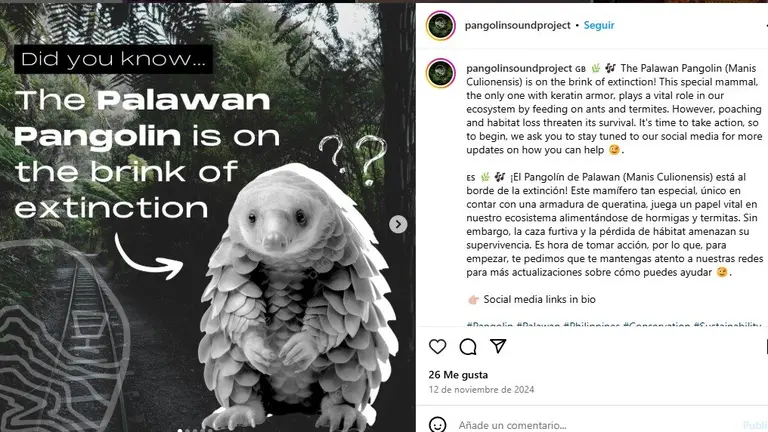 Captura de pantalla del proyecto en Instagram