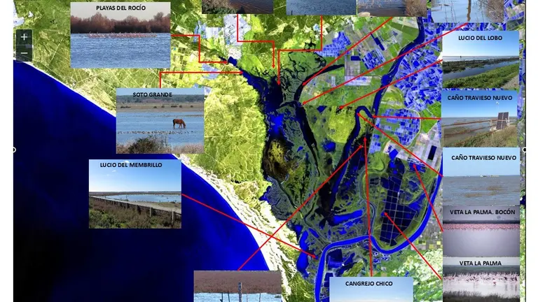 Zonas de Doñana inundadas