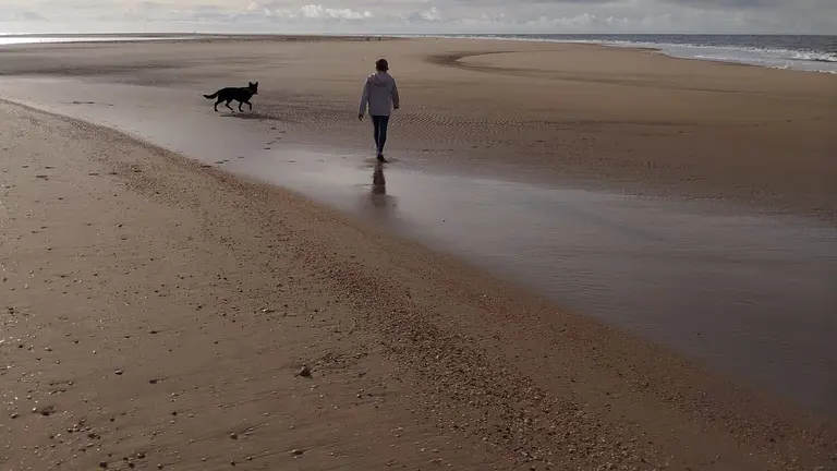 Impactante imagen compartida por B. R. del estado de la playa