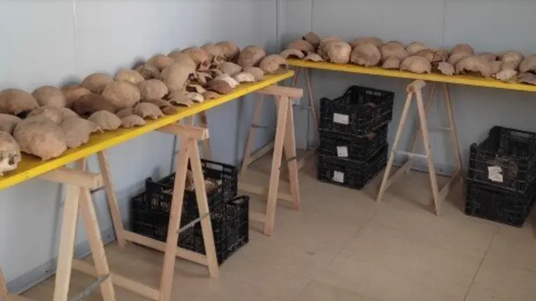 Clasificación de restos para la redacción del informe