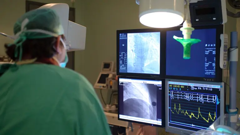 Consulta de profesionales SAS