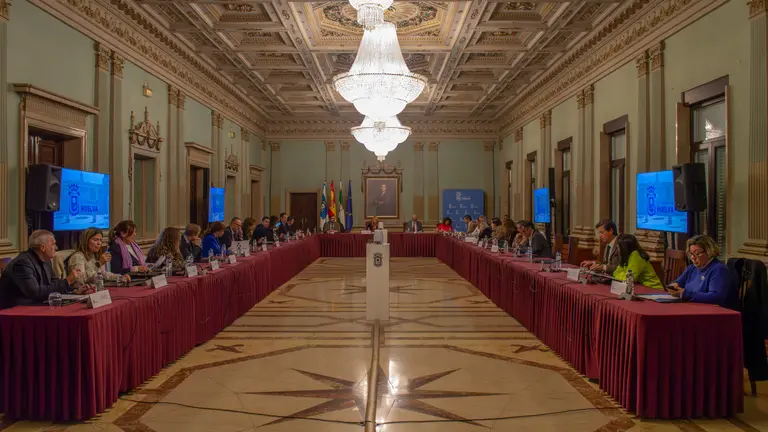 Pleno Extraordinario